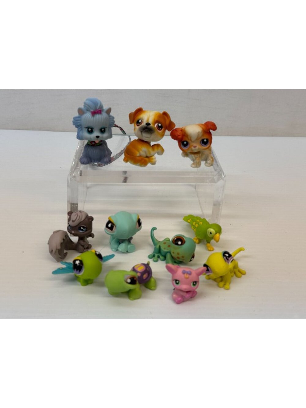 11 Littlest Pet Shop assorted Pets Older ones